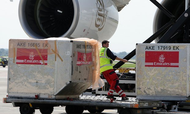 Airport workers` strike could disrupt Christmas flights